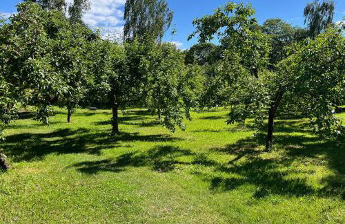 Pfarrhaus Tollensesee - Foto 22