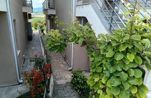 Hilltop Sea View - Foto 30