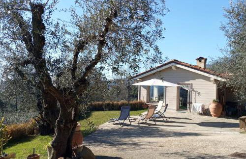 Oliveto Tuscany - Foto 1