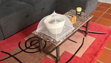 Quinta do Lameiro Maceira - Foto 4