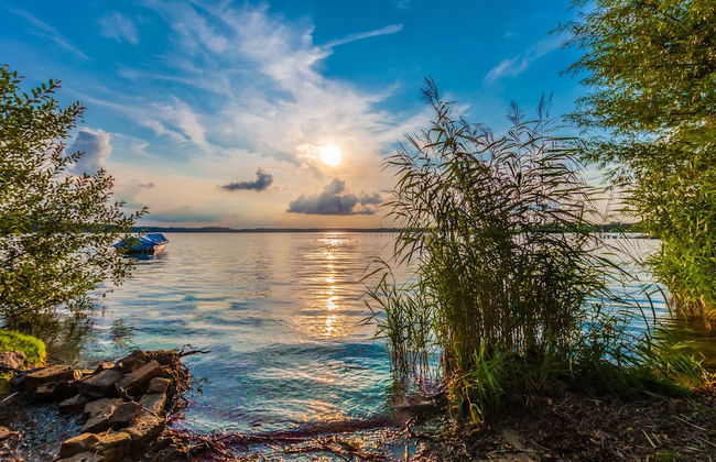 Maremüritz Yachthafen Resort - Foto 63