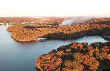 Unit 51 - Treeloft 3 Bedroom Villa - Foto 24