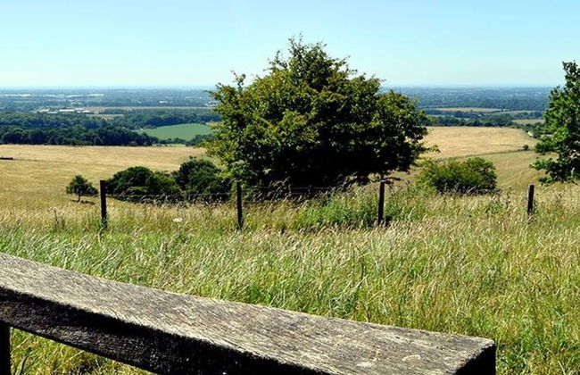 Countryside Annexe Near Goodwood - Foto 11