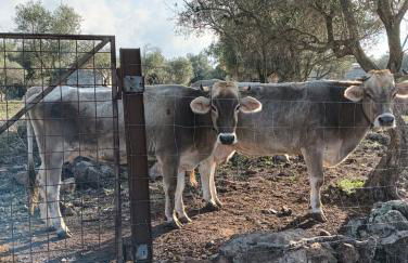 LA CROISETTE Agriturismo - Farmhouse - Foto 33