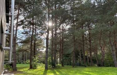 Dom Na Brzegu Ciszy - Foto 44