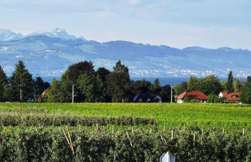 Landhaus Vogel - helle und lichtdurchflutete Maisonette-Ferienwohnung - Foto 26