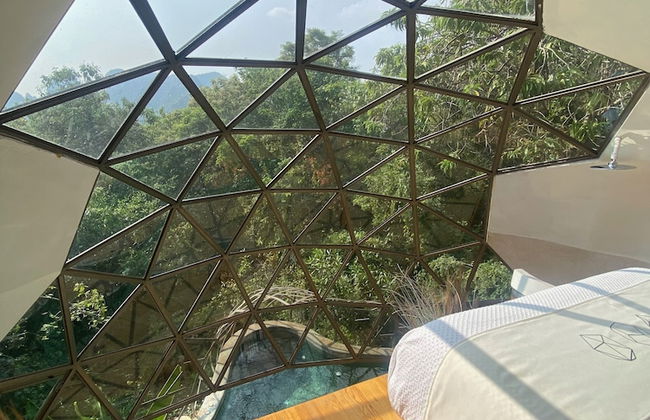 Bosque Geométrico - Foto 17