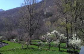 Casa Antonio y Benina - Photo 30