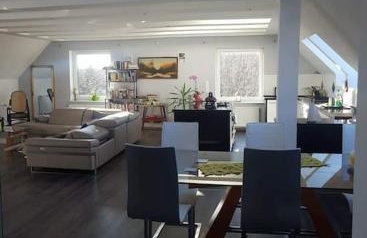 Apartamenty Holiday Slaw jacuzzi bilard - Foto 8