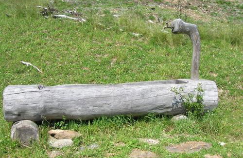 AGRITURISMO MASO PERTENER -adults friendly- - Foto 48