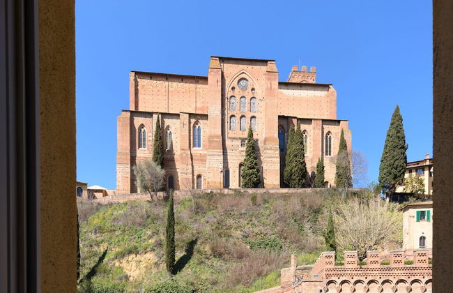 Siena Vip - Photo 47