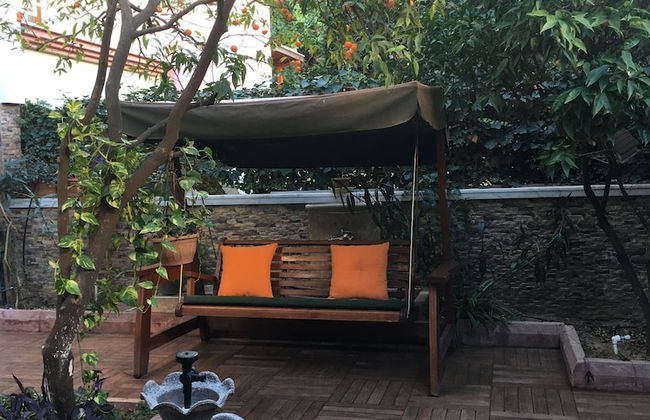 Orange Garden - Foto 44