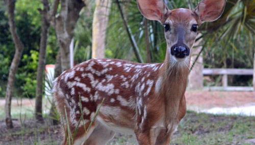 527 Sunsuite - Foto 5