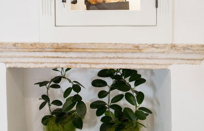 Dubrovnik old city Studio apartment - Photo 17