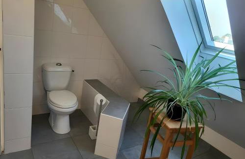 Les 3 Mésanges - Foto 12