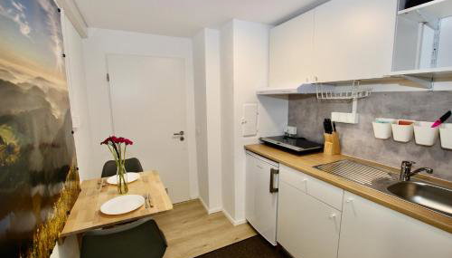 Gemütliches Schwarzwald-Apartment im ruhigen Untergeschoss eines Hauses - Foto 3, stove