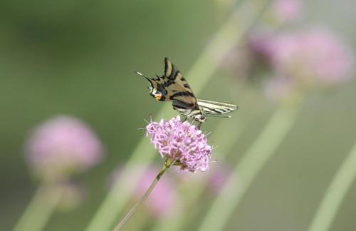 Chalet Kala - Foto 40