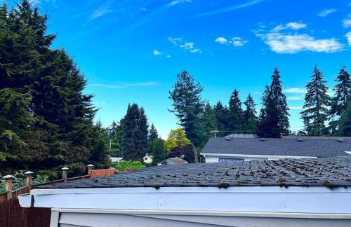 MountForest - Foto 40