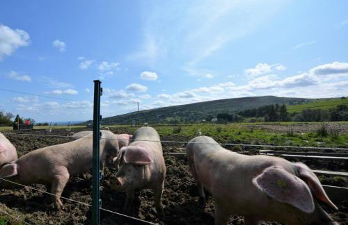 2 Bed in Wrexham oc-76399 - Foto 33