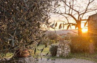 Fattoria Lornano Winery - Foto 74