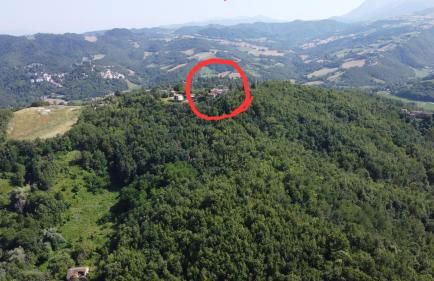 Un sogno nel bosco - Foto 22