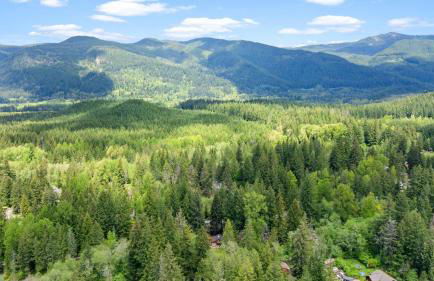 Rainier River Retreat - Foto 65