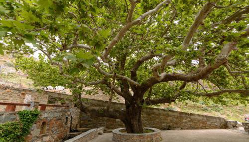 Makronas Apartments - Foto 4