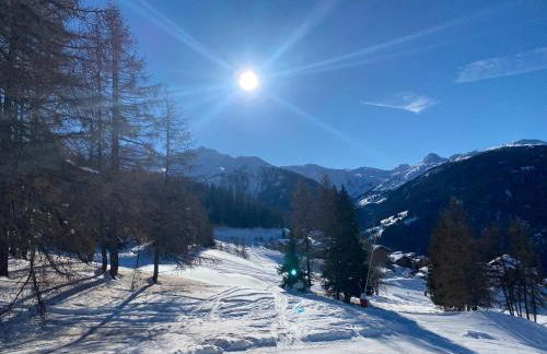 Les ARCS 1600 - SKI AUX PIEDS - MAGNIFIQUE DUPLEX 12 PERSONNES - Foto 51