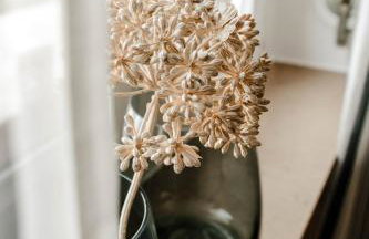 Little Loft Limburg - Foto 9