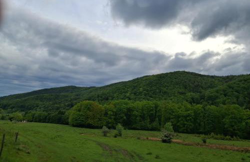 Sowie Pokoje - Foto 21