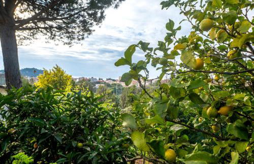 070 - Villa OLANDA con veranda VISTA MARE a 5 minuti SPIAGGIA con PISCINA CONDOMINIALE - Foto 39