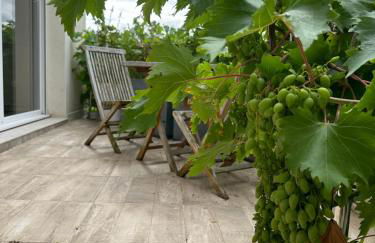 Pink Tropical Champagne - Foto 57