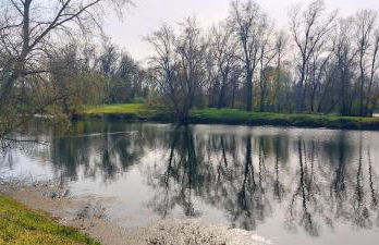 Studio sur les rives d'allier - Foto 8