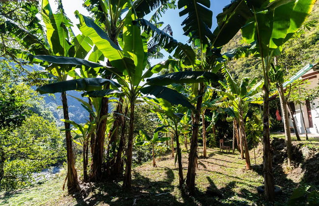 Casa de campo Los Yungas - Photo 28
