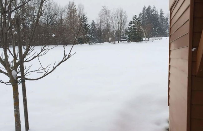 Country House in St. Georgen im Gailtal Near Nassfeld - Photo 38