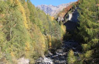 Les Serintes - Foto 20