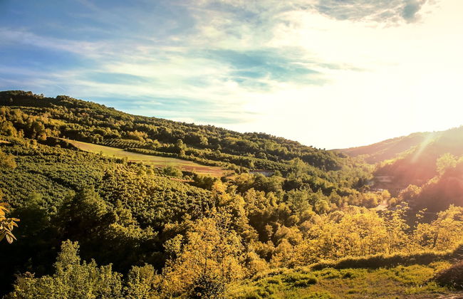 Le Stanze della Musica - Foto 48