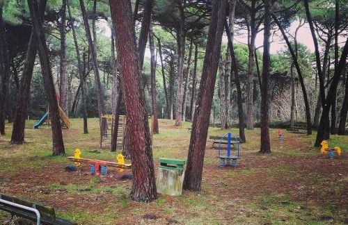 Bilocale Marina Romea - Photo 22