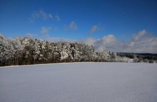 Ferienhaus Herzogenreuth - Foto 17