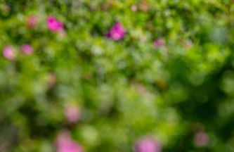 Ferienzentrum Wenningstedt - Foto 62