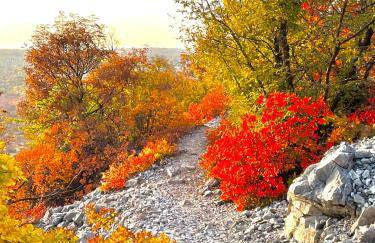 Casa Camilla - Foto 59