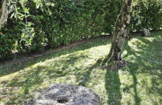 Villa del Dottore - Foto 10