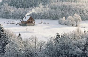 Bieszczady Żubrowe Wzgórze 785-049-543 - Foto 71