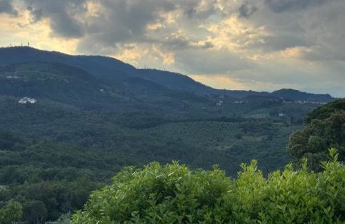 Panoramic Loft Artimino Tuscany - Foto 33