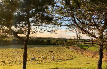 Silverspring Hideaways - Foto 10