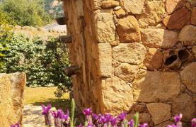 Gianni Location Palombaggia - Foto 48