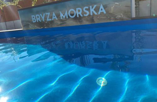 Bryza Morska - Foto 67