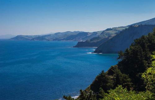 Casa Rural Zelaieta BerriBi - Photo 50