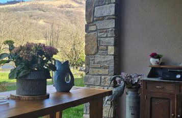 Les reflets du lac detente et nature à Genos-Loudenvieille classé 4 étoiles devant le lac avec jardin - Photo 6