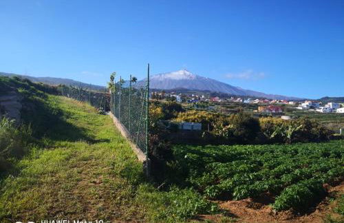 Finca Los Angeles - Foto 31